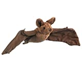 Mexican Free Tailed Bat 8.5' by Wild Life Artist