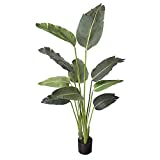One 5 foot Artificial Silk Bird of Paradise Palm Tree Potted Plant