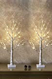 Set of 2- EAMBRITE 2FT 24LT Warm White LED Birch Tree Light Tabletop Bonsai Tree Light Jewelry Holder Decor for Home Party Wedding Holiday
