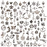 Keyzone Wholesale 100 Pieces Mixed Charms Pendants DIY for Jewelry Making and Crafting